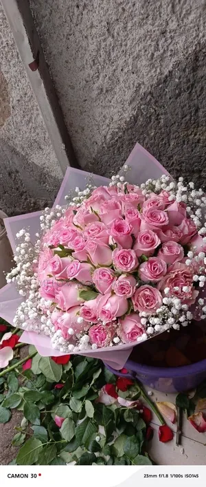 Flower (አበባ)