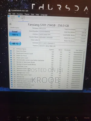 256 GB SSD With Cable 100% Health