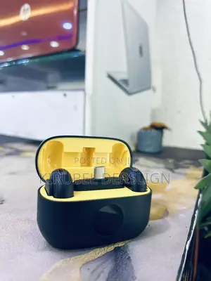 Pro Dual Wireless Microphone