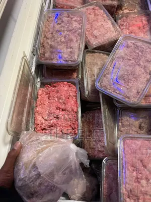 Dog and Cat Food