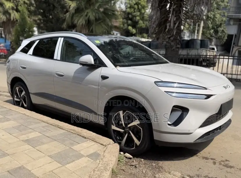 New BYD Sealion 06 EV 2025 Ivory