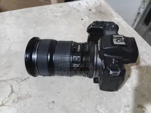 Eos R With Ef Converter,24-105 Mm 50 Mm Lense