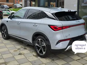 New BYD Yuan Plus 2025 Gray