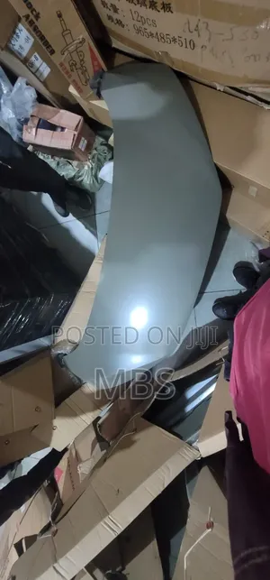 BYD Segul Car Hood Original