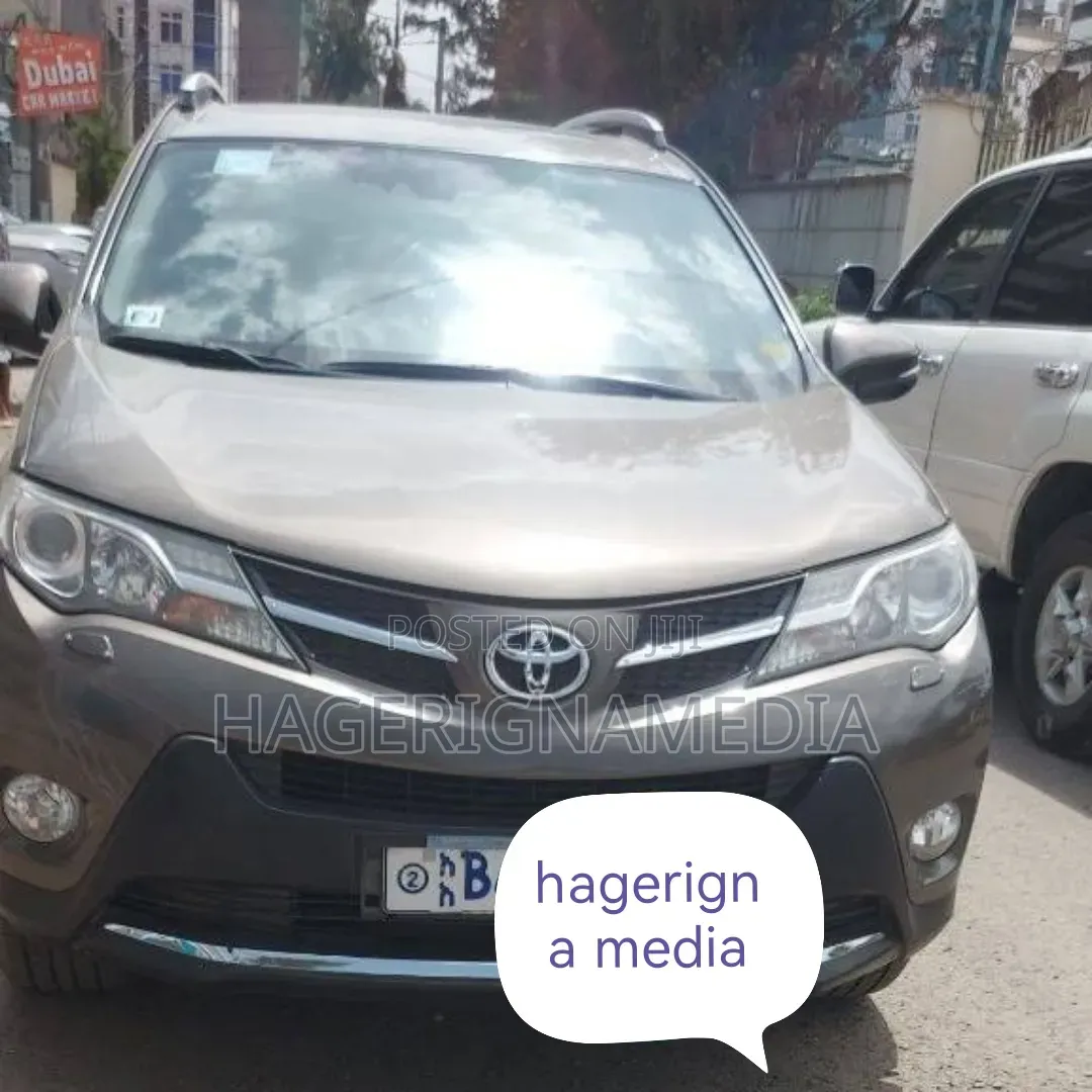 Toyota RAV4 2014 Gray
