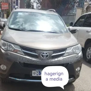 Toyota RAV4 2014 Gray