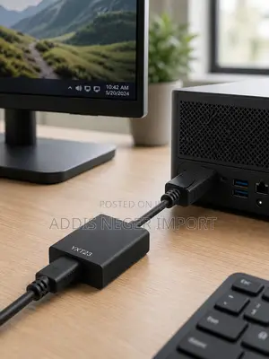 DisplayPort Converter Adapter Cable