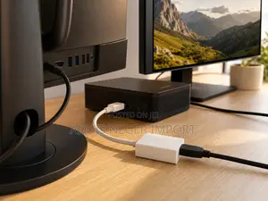 DisplayPort Converter Adapter Cable