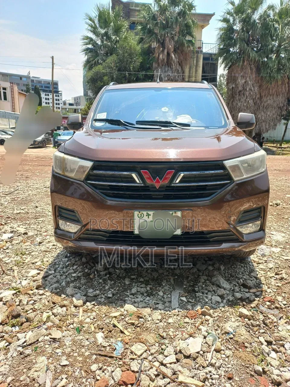 Wuling Sunshine 2019 Blue