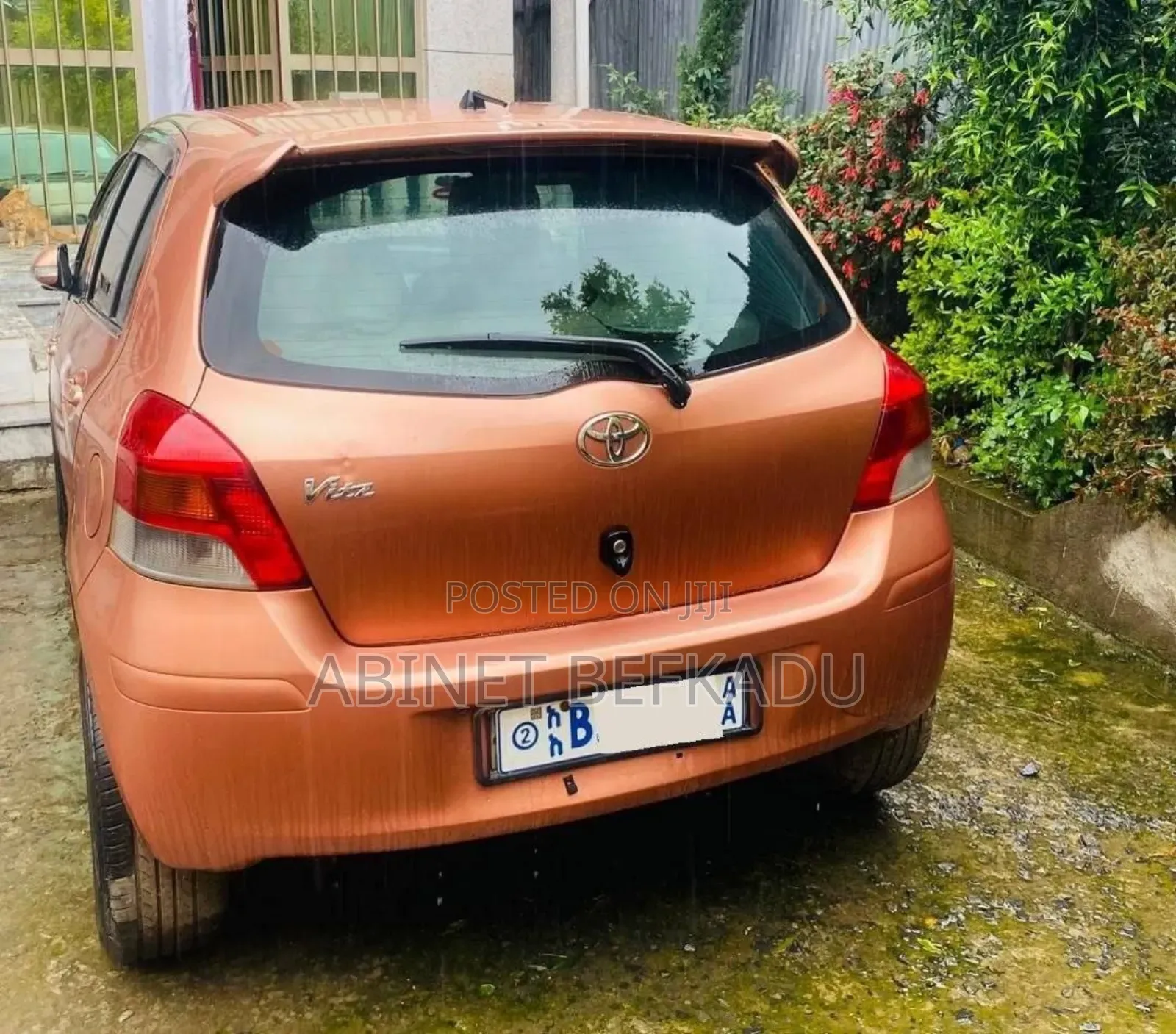 Toyota Vitz 2010 Orange
