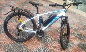 Electric Bike