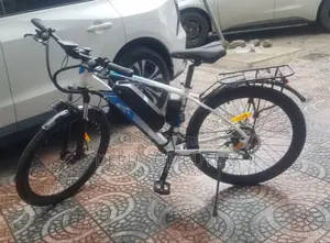 Electric Bike