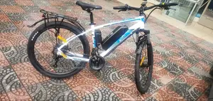 Electric Bike