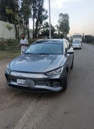 BYD E2 43 kWh 94 hp FWD 2024 Gray
