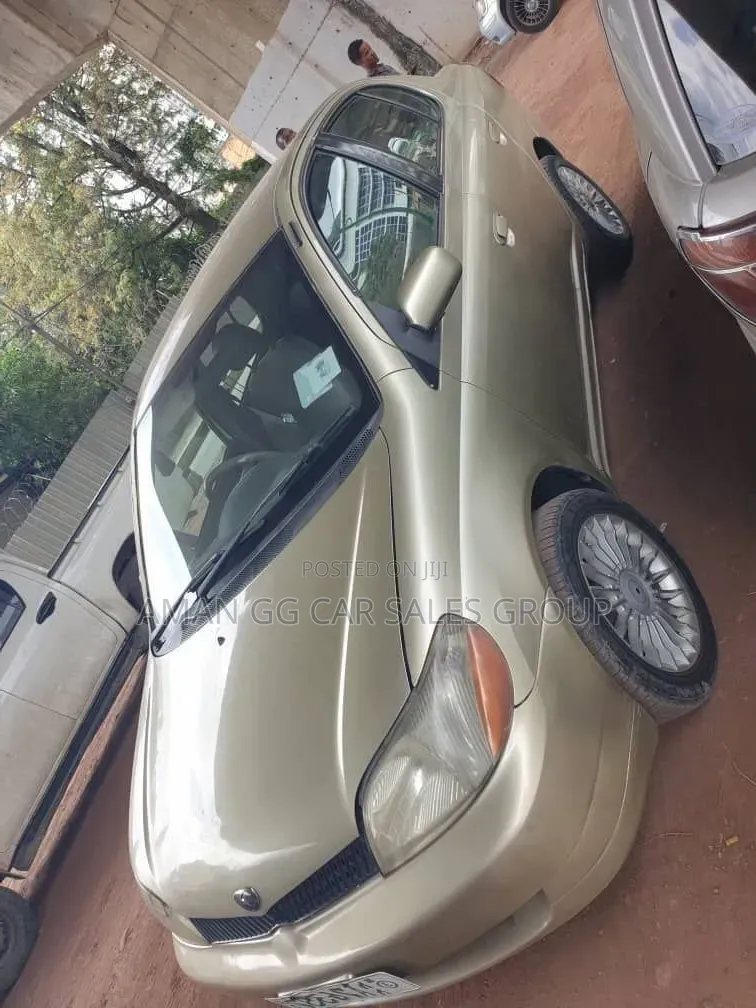 Toyota Platz 2001 Purple