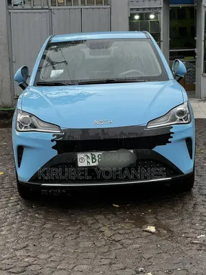 Hozon Neta Aya 2023 Blue