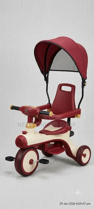 Baby Musical Tricycle