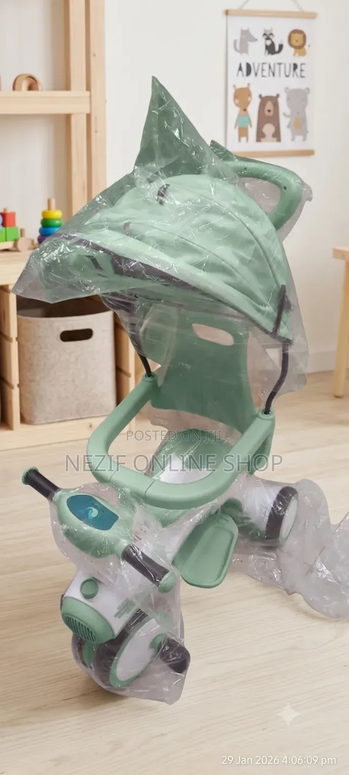 Baby Musical Tricycle