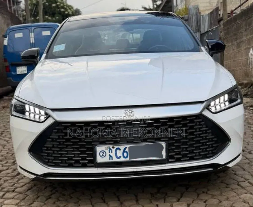 BYD Qin Plus DM-i 2025 White