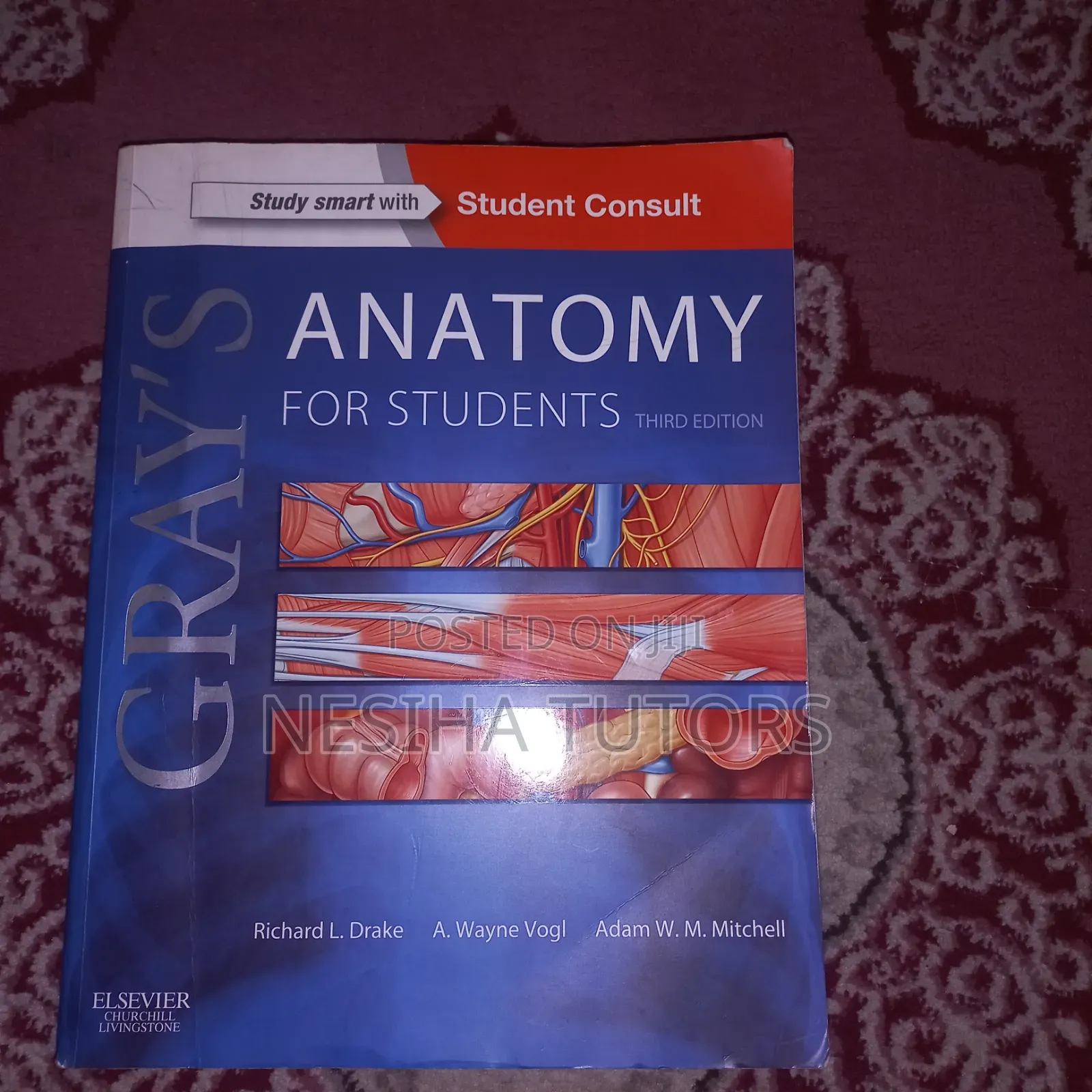 Gray's Anatomy Medical Book