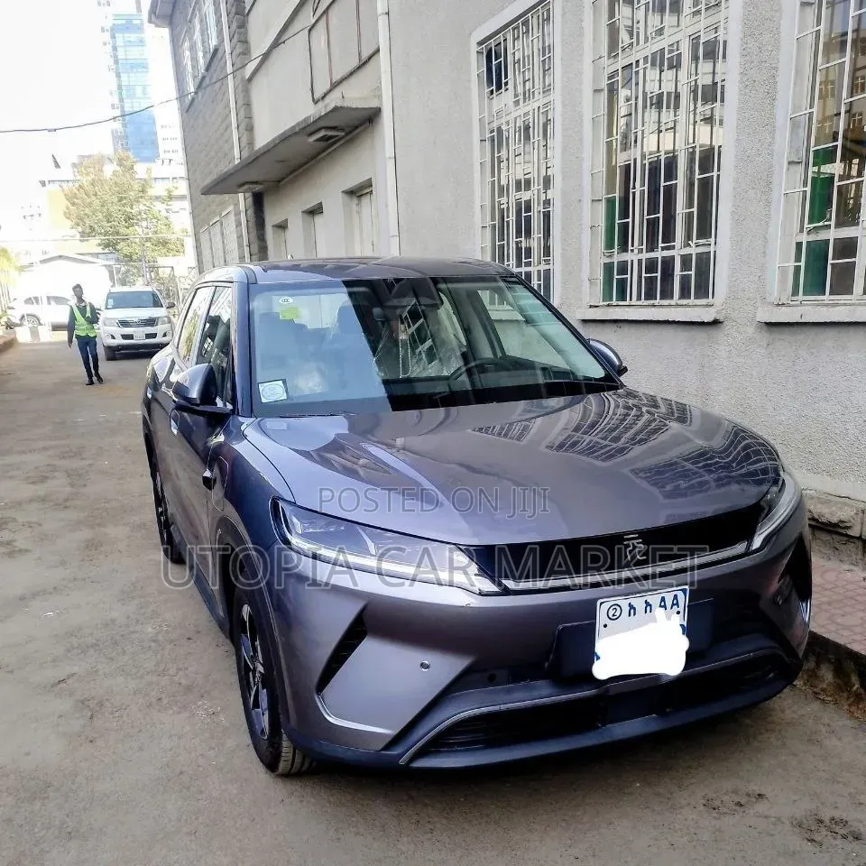 BYD Yuan Up 2025