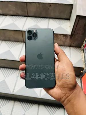 Apple iPhone 11 Pro Max 256 GB Gray