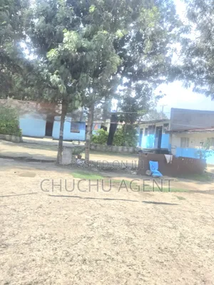 School for Rent Gerji, Roba, for Daycare ት/ቤት ኪራይ