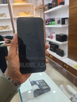 Apple iPhone 13 Pro Max 256 GB