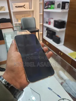 Apple iPhone 13 Pro Max 256 GB