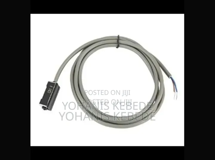 Magnetic Cylinder Reed Sensor