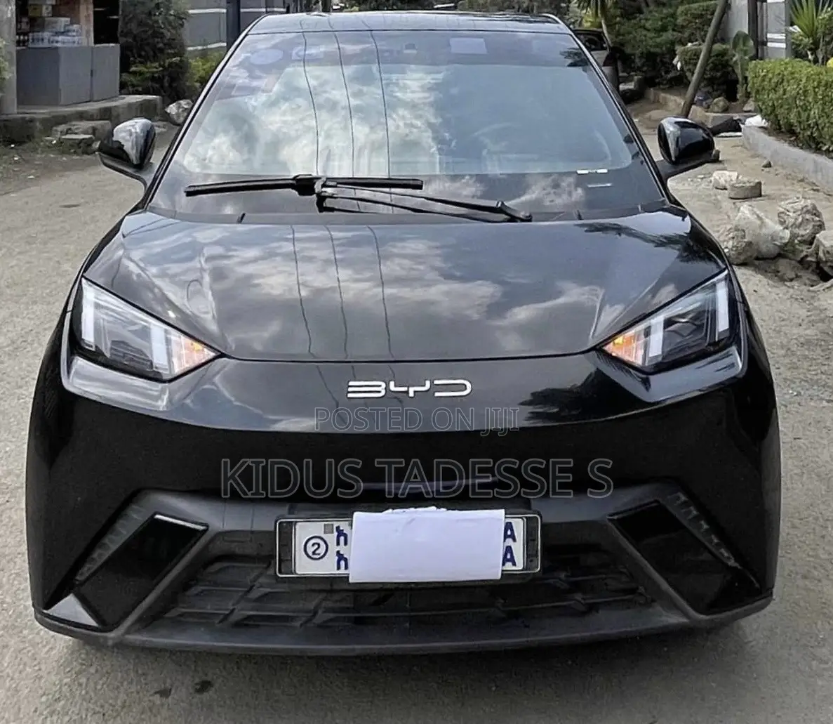 BYD Seagull 2025 Black