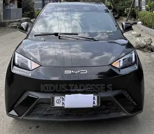 BYD Seagull 2025 Black