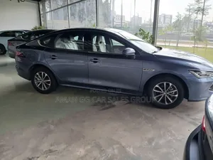 New BYD Qin Plus DM-i 2024 Gray