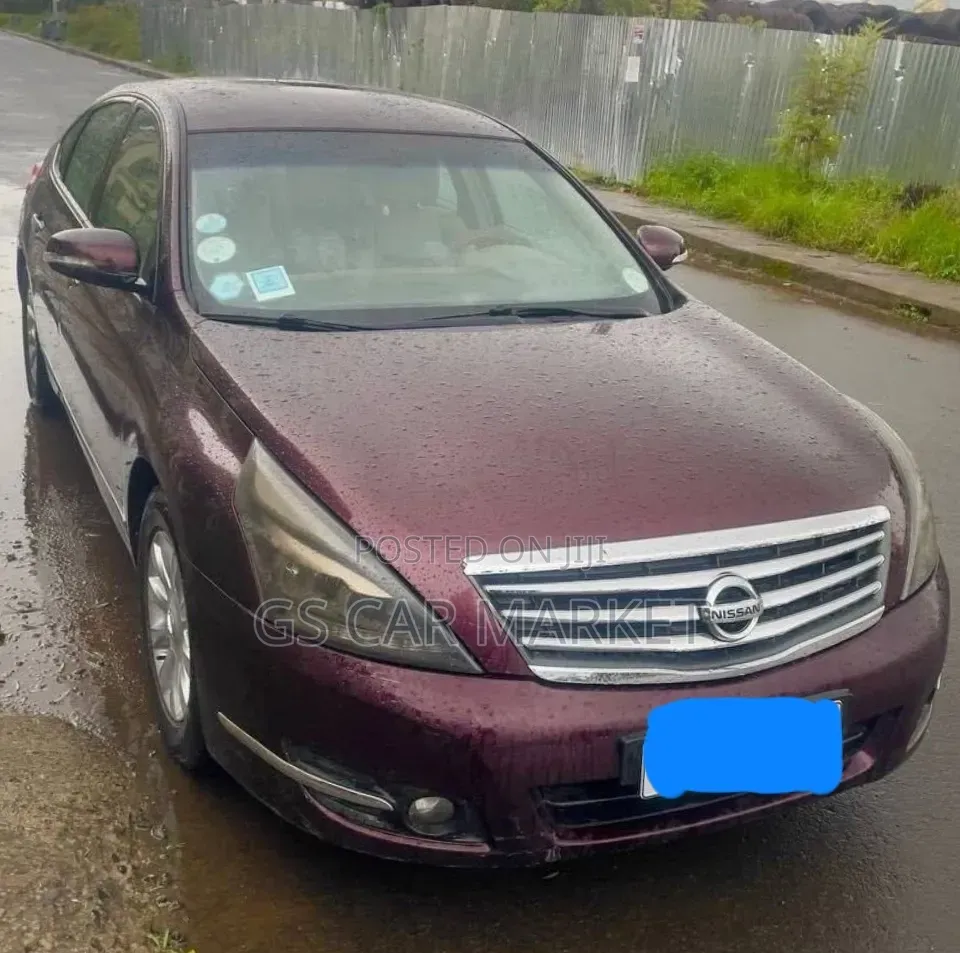 Nissan Teana 2010 Brown