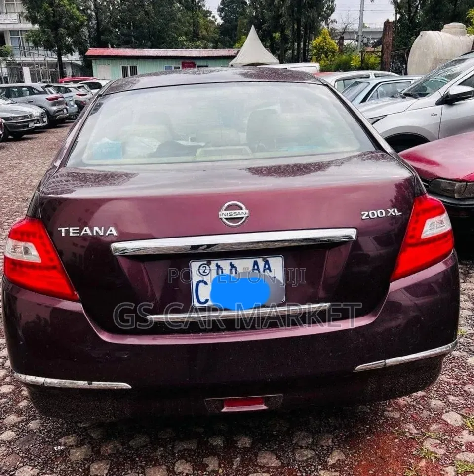 Nissan Teana 2010 Brown