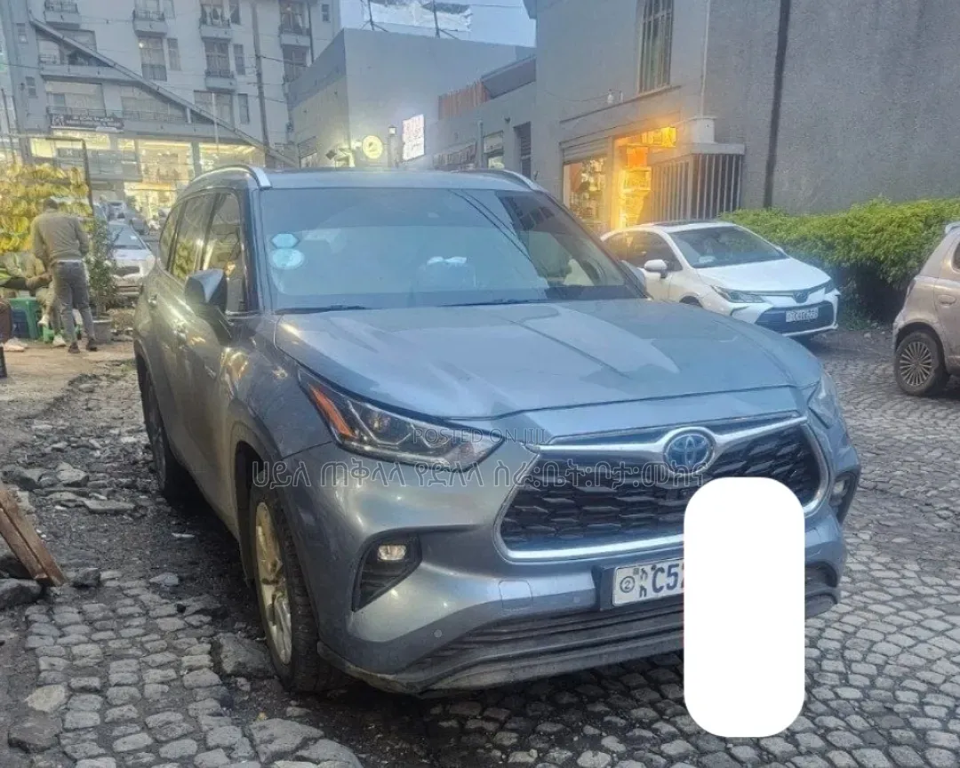 Toyota Highlander Hybrid 2024 Teal