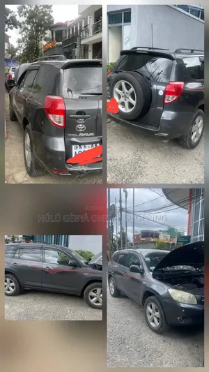 Toyota RAV4 2005 Gray