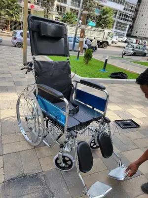 Toilet Wheelchair秘𣈳mobility and Bathroom Needs, Providing Comfort