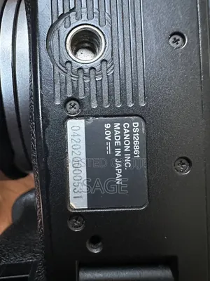 Canon R6 Mark2 With 24-105 Mm Lens F4-7.1