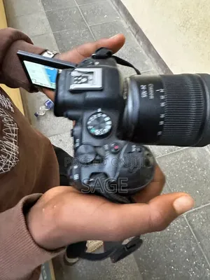 Canon R6 Mark2 With 24-105 Mm Lens F4-7.1