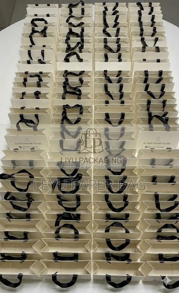 Paper Bag/የወረቀት ከረጢት /መያዣ