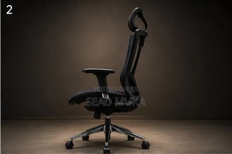 Ergonomic Chair
