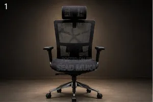 Ergonomic Chair