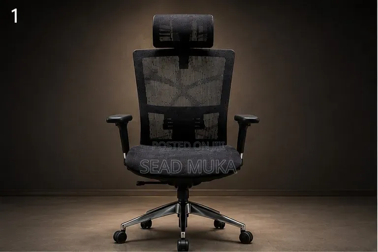 Ergonomic Chair