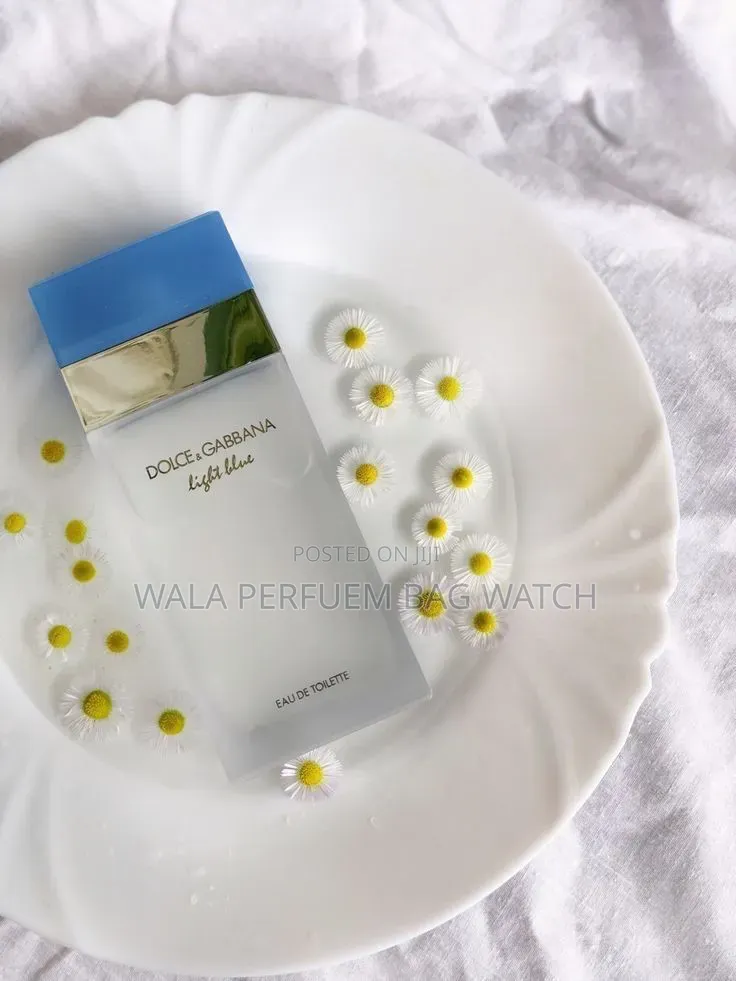 Dolce Gabbana Light Blue