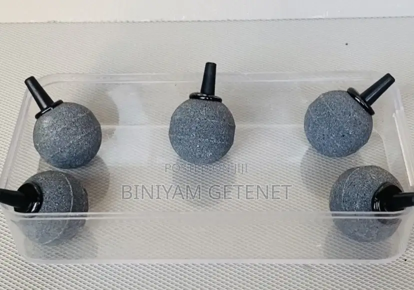Airstone for Airpump