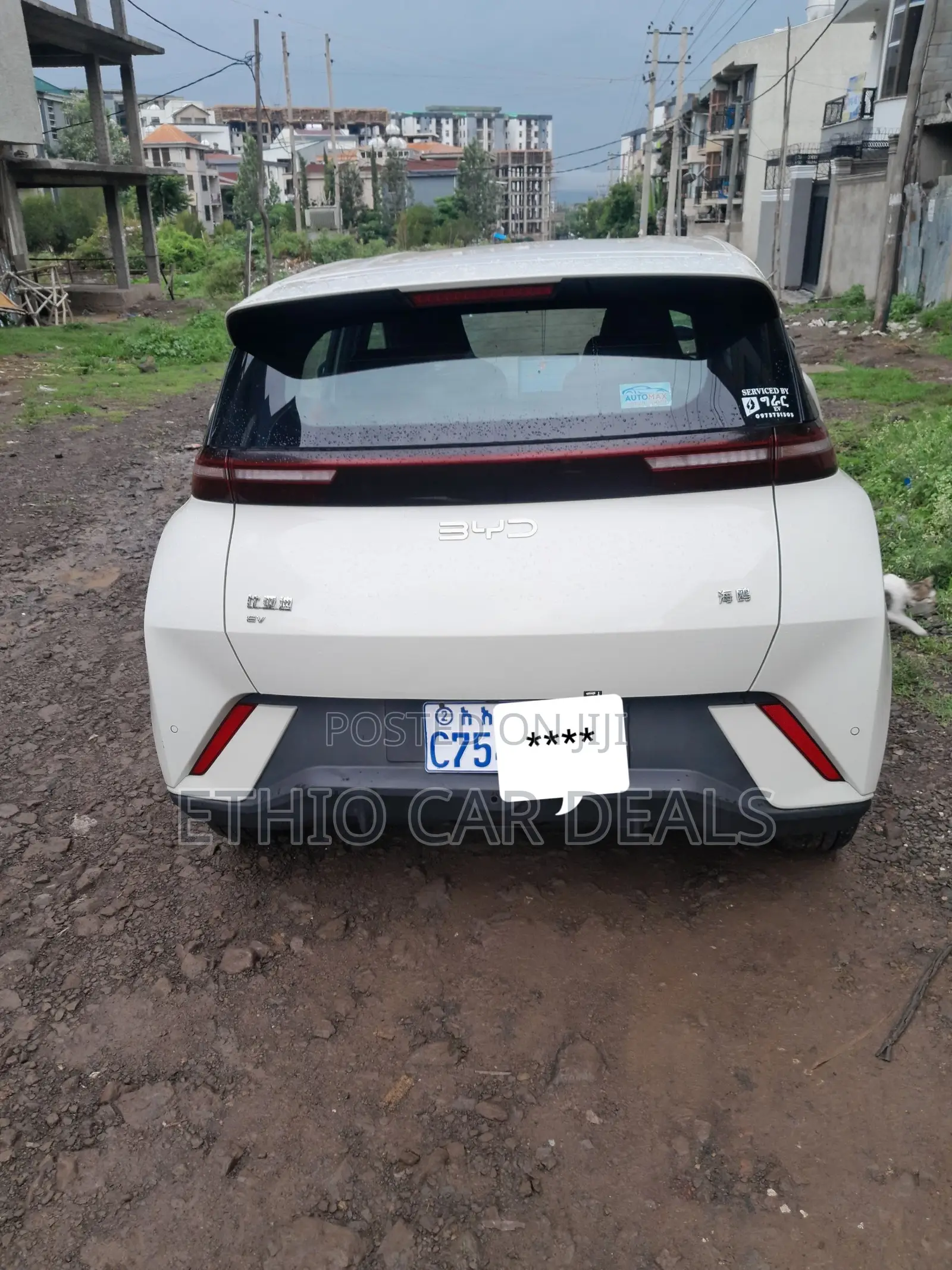 BYD Seagull 2025 White