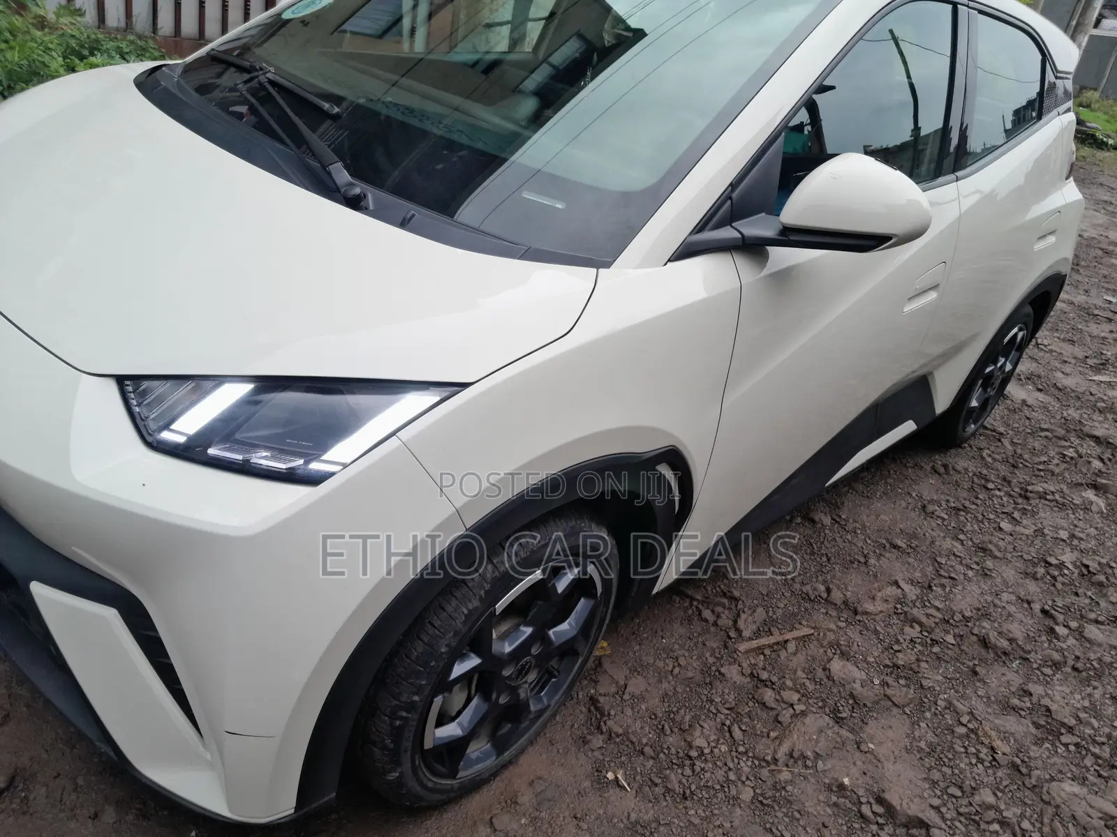BYD Seagull 2025 White