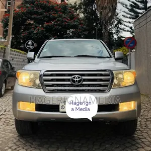 Toyota Land Cruiser 2009 Silver