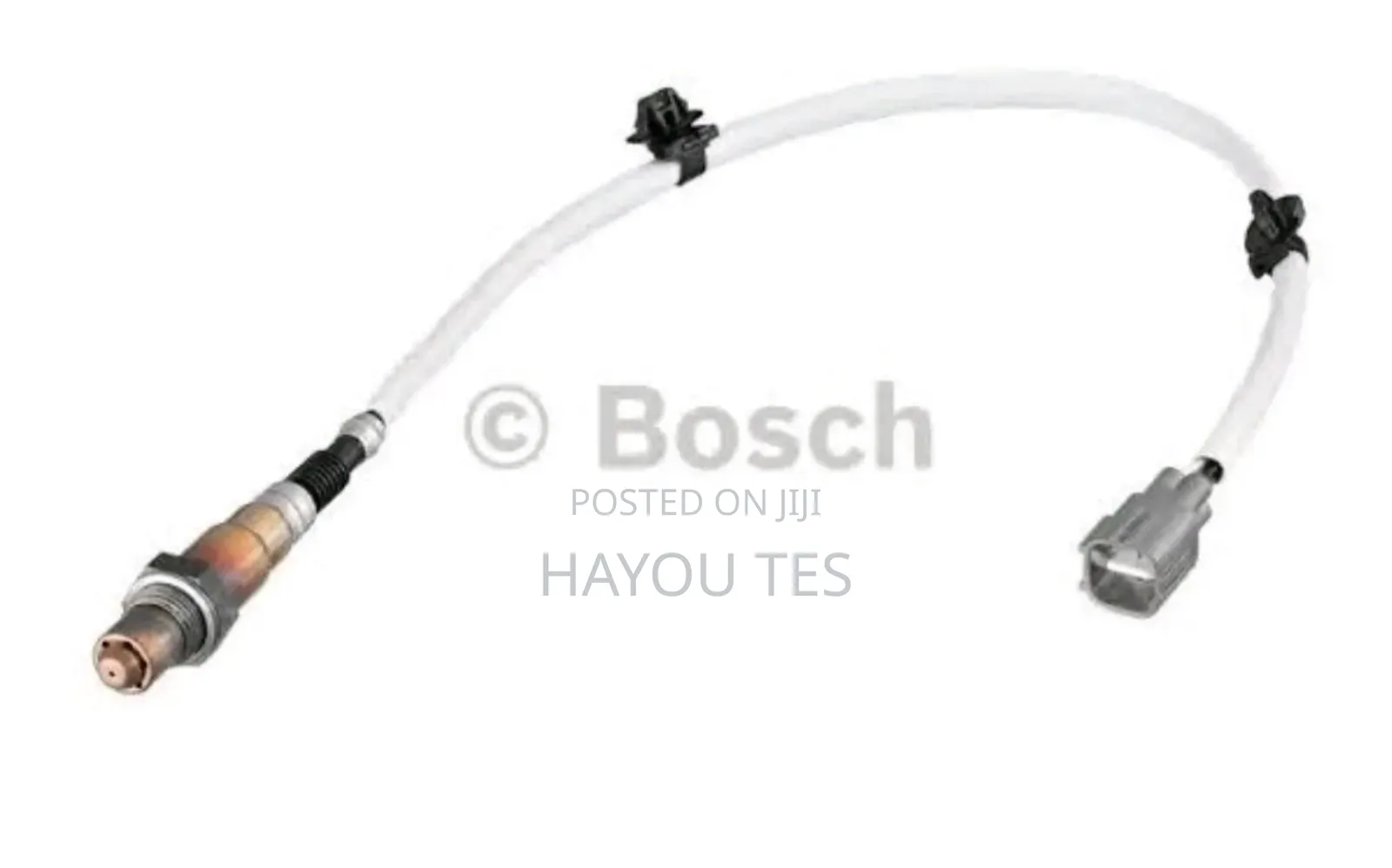 Oxygen Sensor